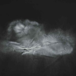 Andavo via per valli brume