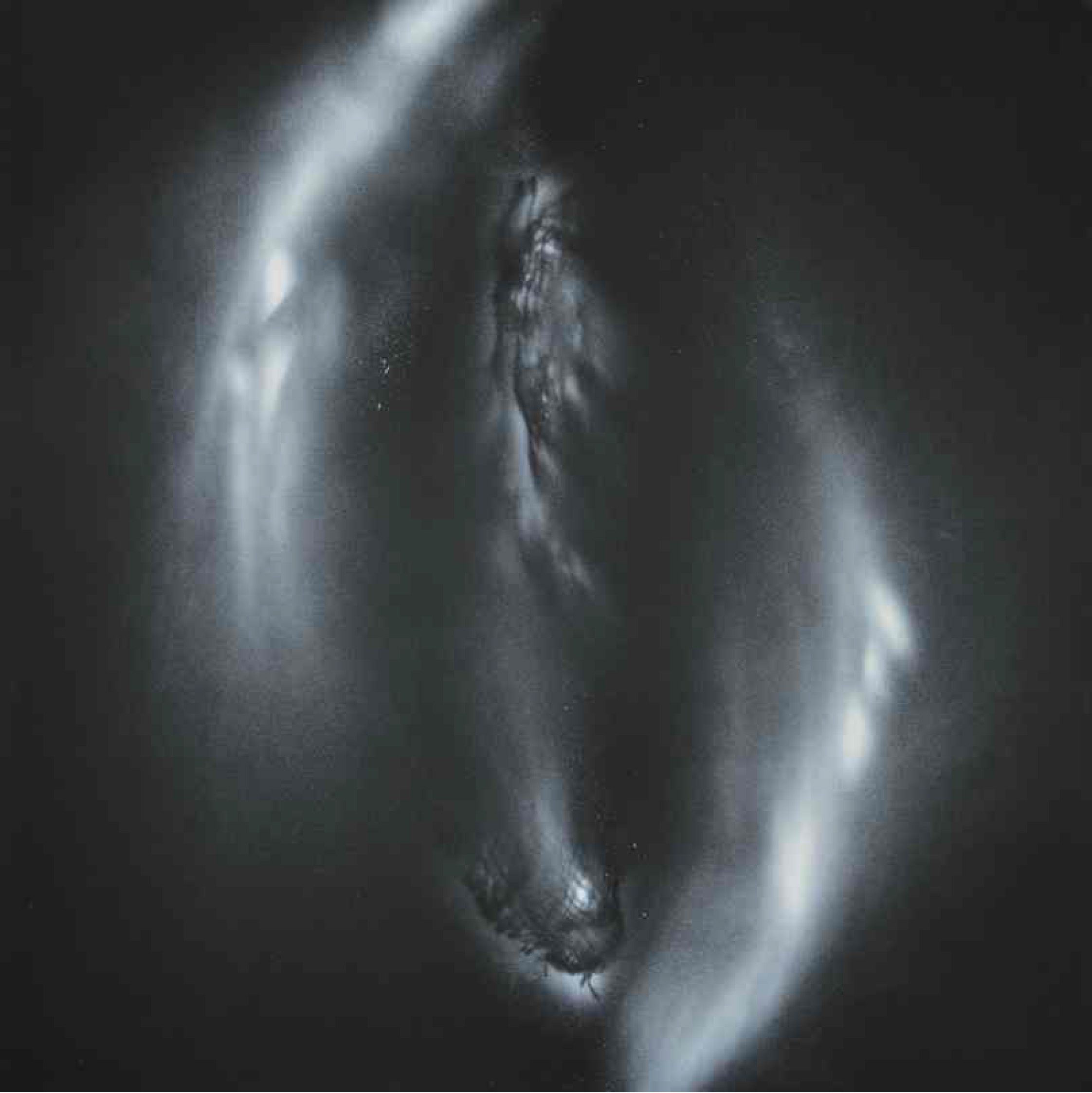 Così percorri il fuoco della mia forma, baciandomi (The way you kiss my burning figure) Così percorri il fuoco della mia forma, baciandomi