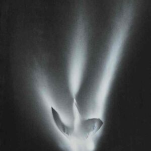 Spinta dalla farfalla, rise l'aria