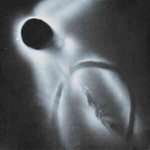 ... mai luce, polpa bianca di mela
